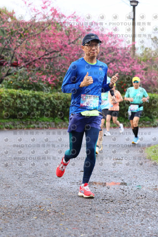 2026左岸竹東櫻花馬拉松Zhudong Sakura Marathon