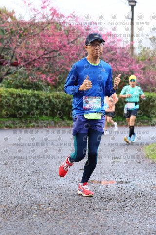 2026左岸竹東櫻花馬拉松Zhudong Sakura Marathon