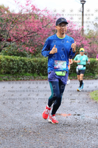 2026左岸竹東櫻花馬拉松Zhudong Sakura Marathon