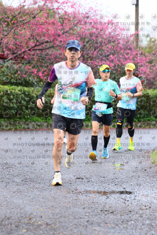 2026左岸竹東櫻花馬拉松Zhudong Sakura Marathon