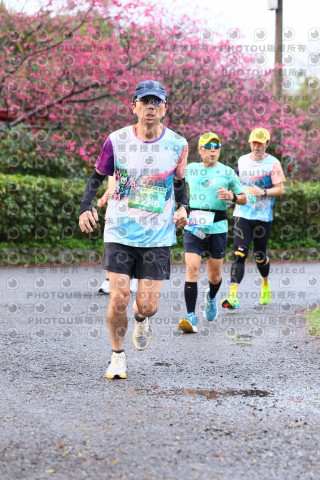 2026左岸竹東櫻花馬拉松Zhudong Sakura Marathon