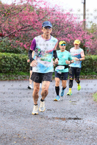 2026左岸竹東櫻花馬拉松Zhudong Sakura Marathon