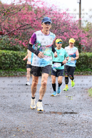 2026左岸竹東櫻花馬拉松Zhudong Sakura Marathon