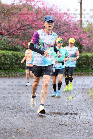2026左岸竹東櫻花馬拉松Zhudong Sakura Marathon
