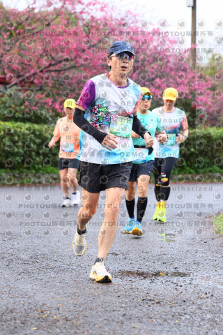 2026左岸竹東櫻花馬拉松Zhudong Sakura Marathon