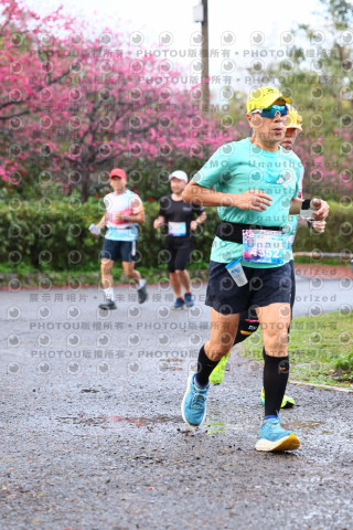 2026左岸竹東櫻花馬拉松Zhudong Sakura Marathon