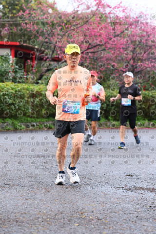 2026左岸竹東櫻花馬拉松Zhudong Sakura Marathon