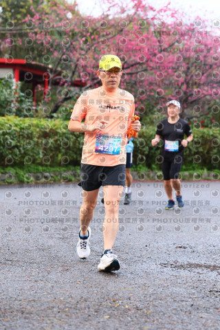 2026左岸竹東櫻花馬拉松Zhudong Sakura Marathon