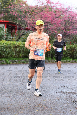 2026左岸竹東櫻花馬拉松Zhudong Sakura Marathon