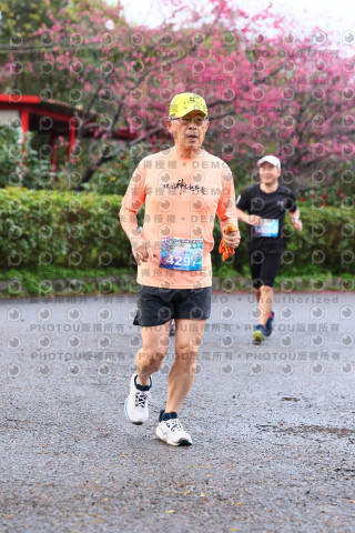 2026左岸竹東櫻花馬拉松Zhudong Sakura Marathon