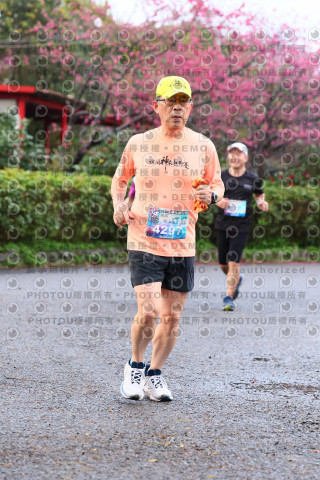 2026左岸竹東櫻花馬拉松Zhudong Sakura Marathon