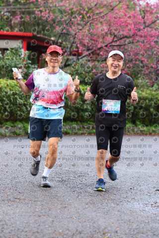 2026左岸竹東櫻花馬拉松Zhudong Sakura Marathon