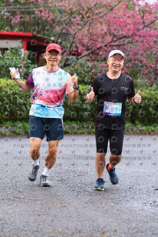 2026左岸竹東櫻花馬拉松Zhudong Sakura Marathon