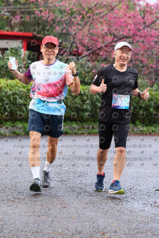 2026左岸竹東櫻花馬拉松Zhudong Sakura Marathon