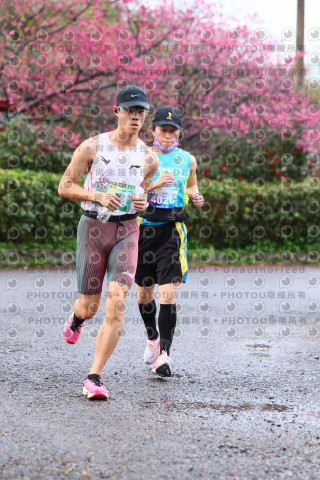 2026左岸竹東櫻花馬拉松Zhudong Sakura Marathon