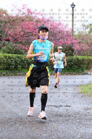 2026左岸竹東櫻花馬拉松Zhudong Sakura Marathon