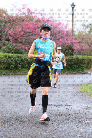 2026左岸竹東櫻花馬拉松Zhudong Sakura Marathon