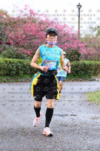 2026左岸竹東櫻花馬拉松Zhudong Sakura Marathon