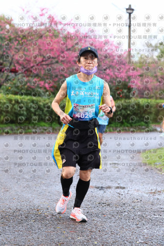 2026左岸竹東櫻花馬拉松Zhudong Sakura Marathon