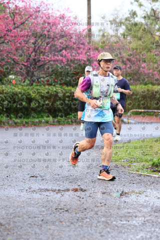 2026左岸竹東櫻花馬拉松Zhudong Sakura Marathon