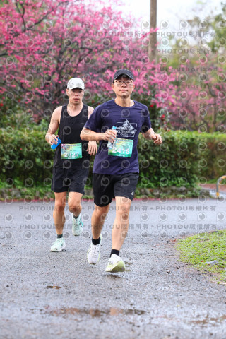 2026左岸竹東櫻花馬拉松Zhudong Sakura Marathon