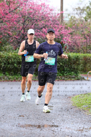 2026左岸竹東櫻花馬拉松Zhudong Sakura Marathon
