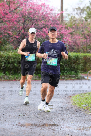 2026左岸竹東櫻花馬拉松Zhudong Sakura Marathon