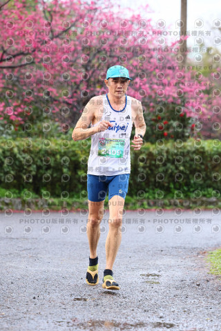 2026左岸竹東櫻花馬拉松Zhudong Sakura Marathon