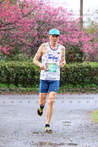 2026左岸竹東櫻花馬拉松Zhudong Sakura Marathon