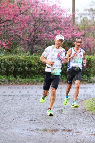 2026左岸竹東櫻花馬拉松Zhudong Sakura Marathon