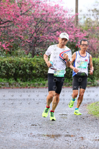2026左岸竹東櫻花馬拉松Zhudong Sakura Marathon