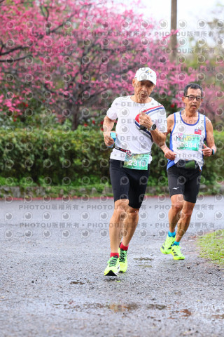 2026左岸竹東櫻花馬拉松Zhudong Sakura Marathon