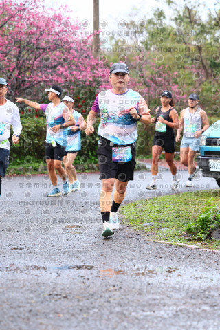 2026左岸竹東櫻花馬拉松Zhudong Sakura Marathon