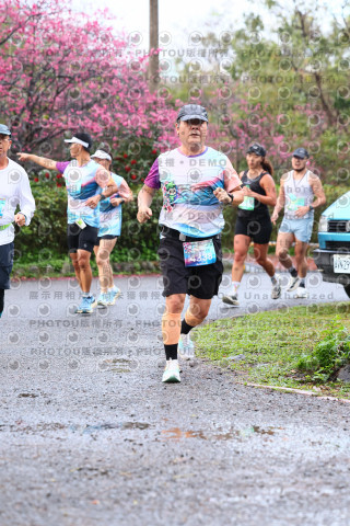 2026左岸竹東櫻花馬拉松Zhudong Sakura Marathon