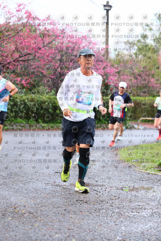 2026左岸竹東櫻花馬拉松Zhudong Sakura Marathon
