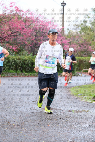 2026左岸竹東櫻花馬拉松Zhudong Sakura Marathon