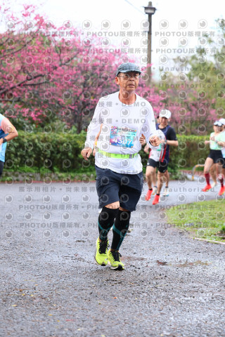 2026左岸竹東櫻花馬拉松Zhudong Sakura Marathon