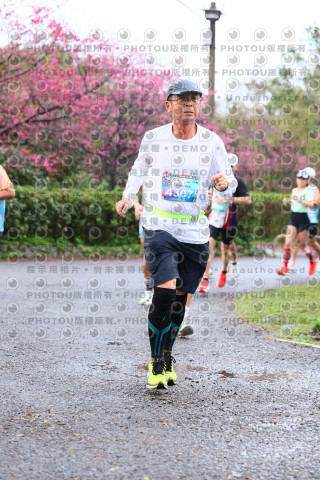 2026左岸竹東櫻花馬拉松Zhudong Sakura Marathon