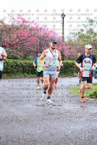 2026左岸竹東櫻花馬拉松Zhudong Sakura Marathon