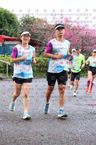 2026左岸竹東櫻花馬拉松Zhudong Sakura Marathon