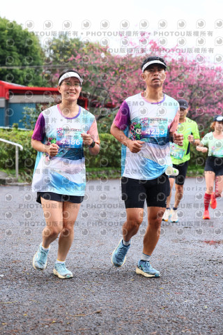 2026左岸竹東櫻花馬拉松Zhudong Sakura Marathon