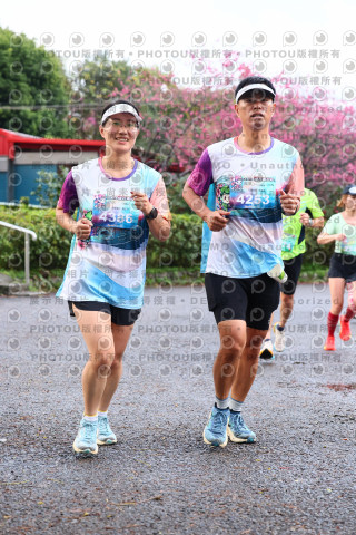 2026左岸竹東櫻花馬拉松Zhudong Sakura Marathon
