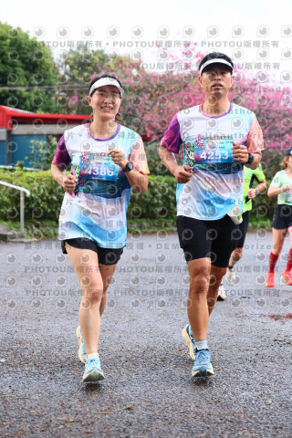 2026左岸竹東櫻花馬拉松Zhudong Sakura Marathon