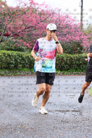 2026左岸竹東櫻花馬拉松Zhudong Sakura Marathon