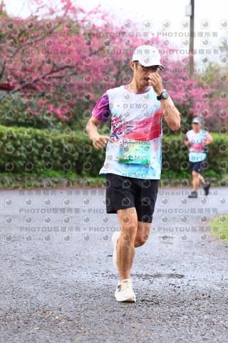 2026左岸竹東櫻花馬拉松Zhudong Sakura Marathon