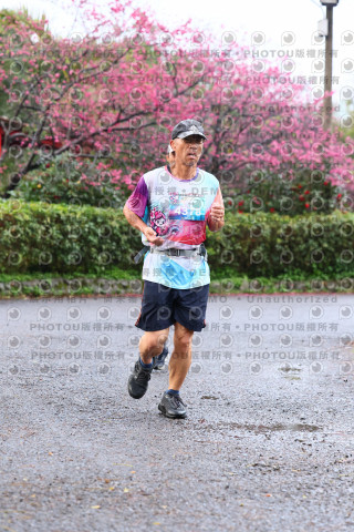 2026左岸竹東櫻花馬拉松Zhudong Sakura Marathon