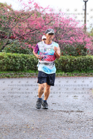 2026左岸竹東櫻花馬拉松Zhudong Sakura Marathon