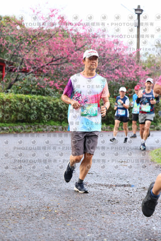 2026左岸竹東櫻花馬拉松Zhudong Sakura Marathon