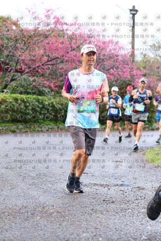 2026左岸竹東櫻花馬拉松Zhudong Sakura Marathon