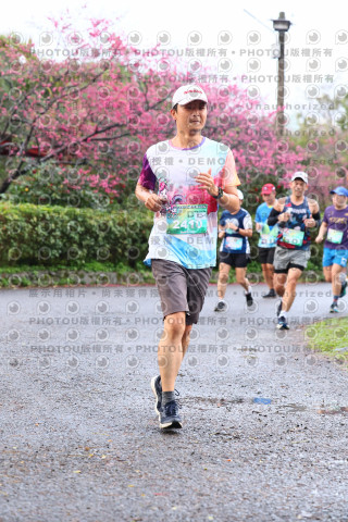 2026左岸竹東櫻花馬拉松Zhudong Sakura Marathon
